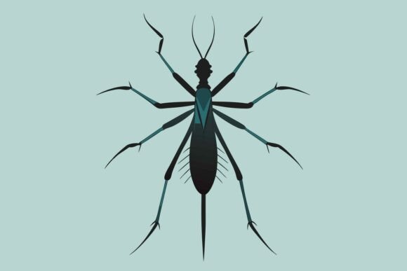 Vector Illustration of a Water Strider
